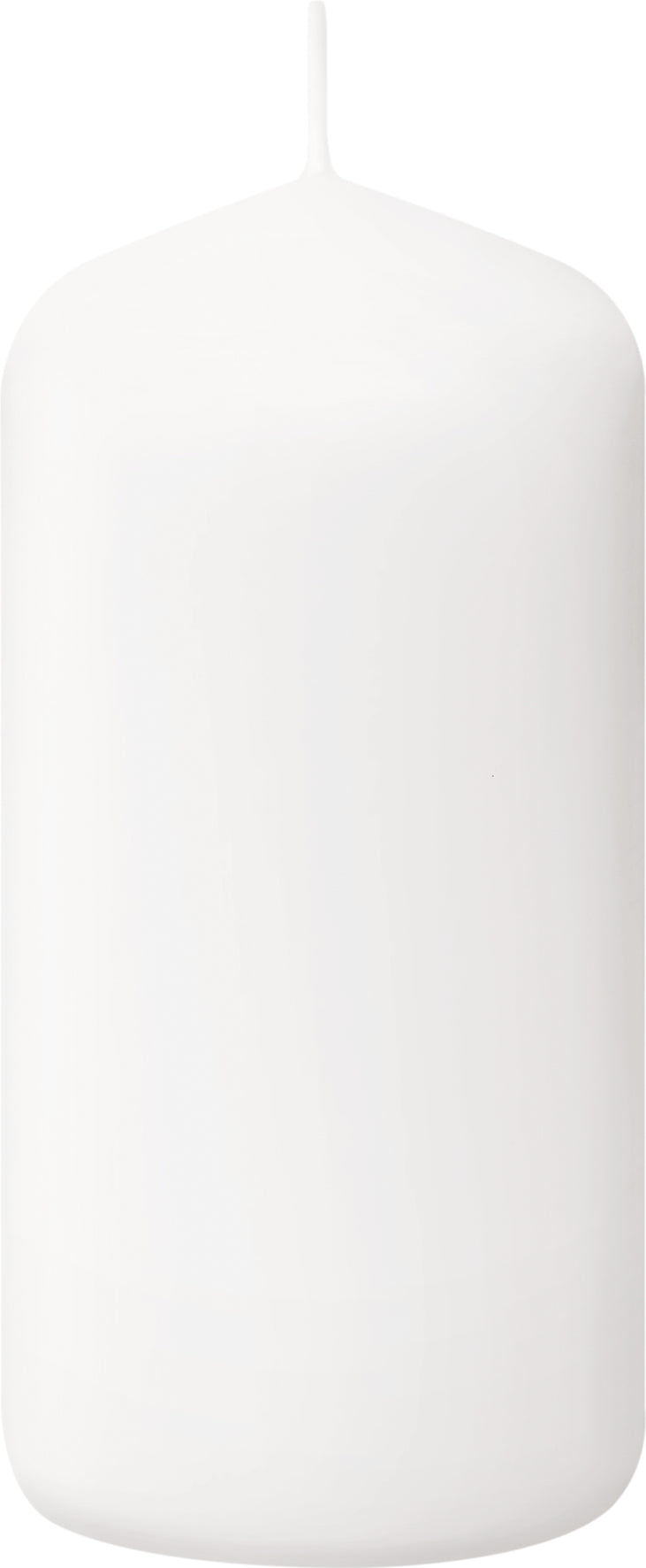 Bolsius Professional, Stompkaarsen, Wit 10 cm, 20 uur, 20 stuks