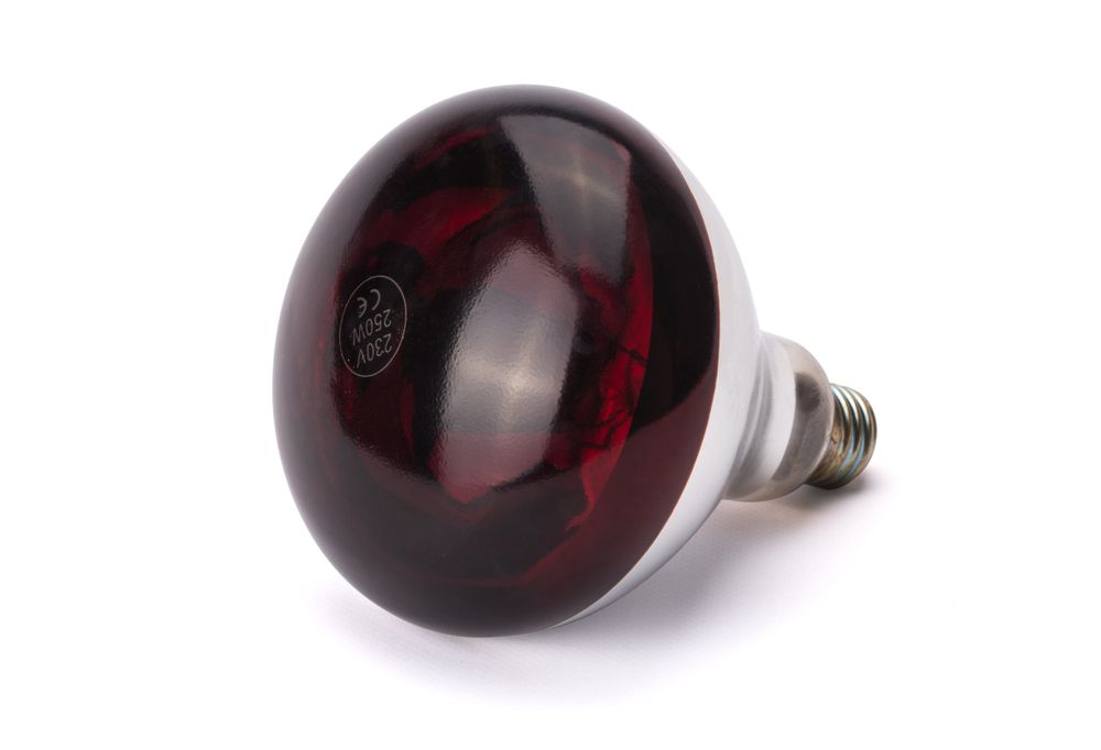 Infrarood warmtelamp, HENDI, Rood, 230V/250W, ⌀125x(H)170mm