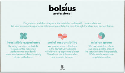 Bolsius Professional Dinerkaarsen Ivoor, 45 stuks, 18cm, Druipvrij