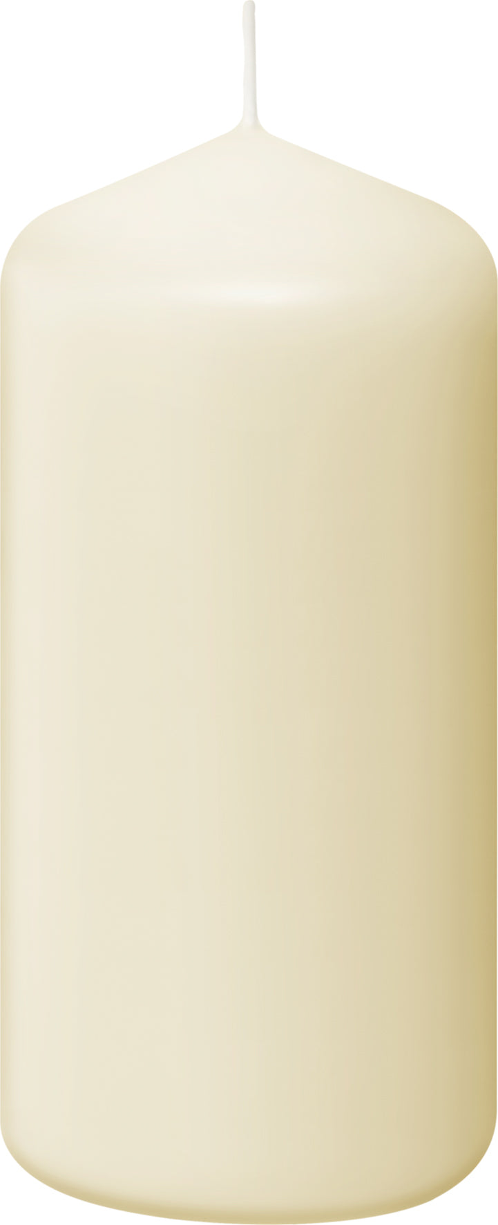 Bolsius Professional, Stompkaarsen, Ivoor 12cm, 33 uur, 12 stuks