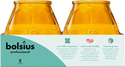 Bolsius Professional Twilight, Amber, 70 uur, 6 stuks