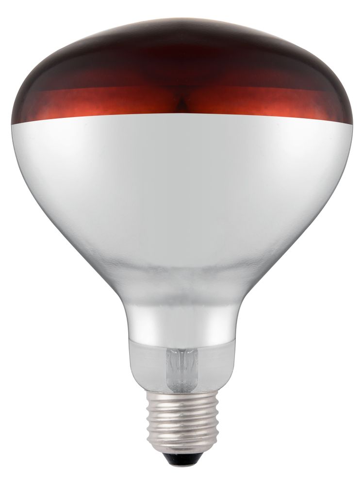 Infrarood warmtelamp, HENDI, Rood, 230V/250W, ⌀125x(H)170mm
