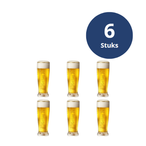 Hertog Jan Bierglazen, 25cl, 6 stuks